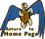cute flying turtle takes you to the home page