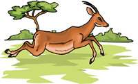 Antelope using stored solar energy to run and prance.