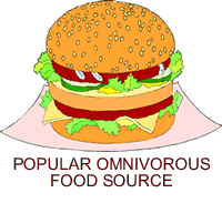 hamburgers are for omnivores