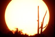 Gorgeous sun shining on the Arizona desert